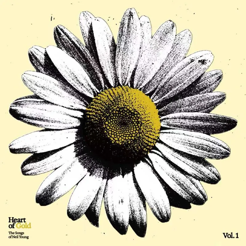 thistle.-it'snicetoseeyou,stranger 资料
