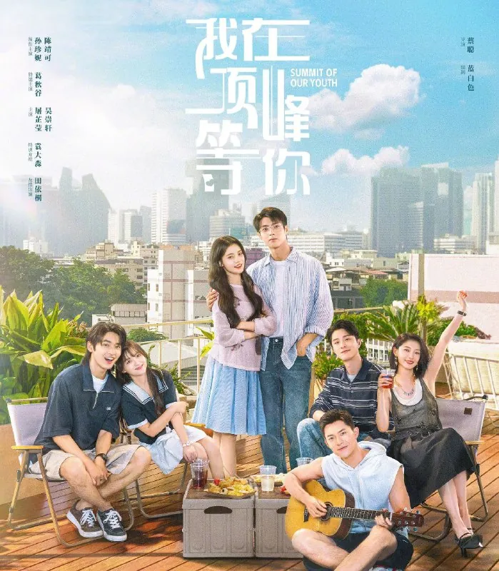 我在顶峰等你 影视