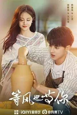 等风也等你[2025]